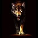 dwolf