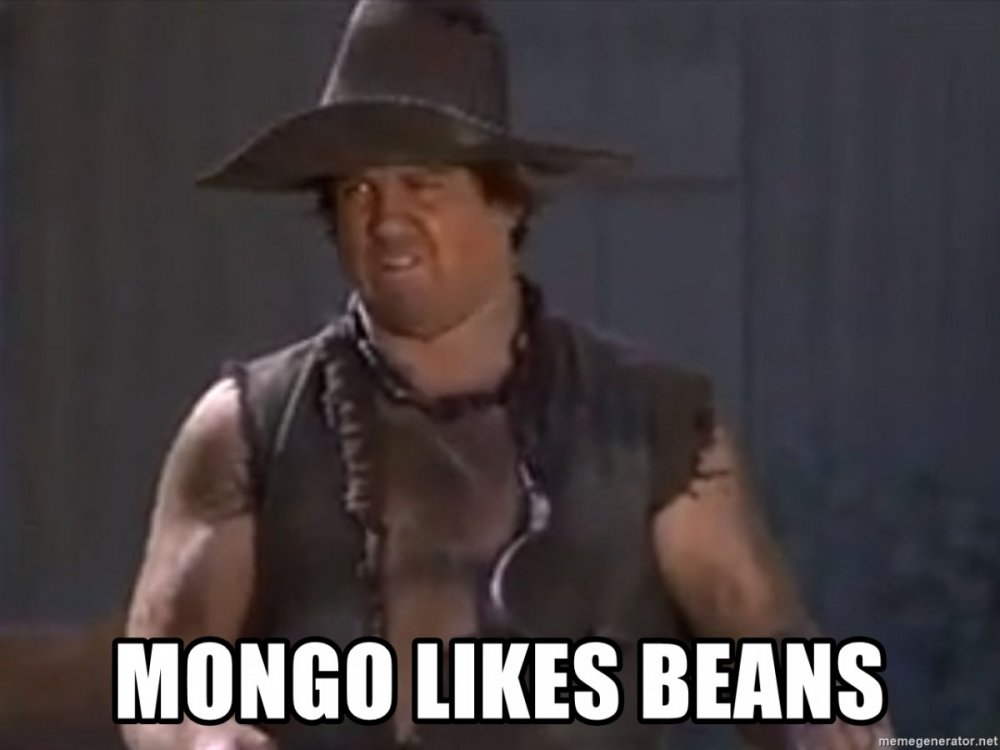 mongo-likes-beans.jpg