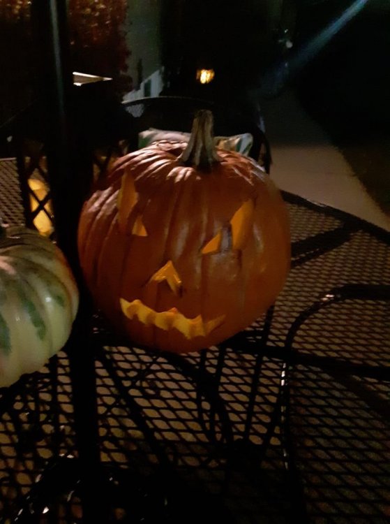 pumpkin1.thumb.jpg.2932d5b8c7fd467e90852ffcc9efd9d5.jpg