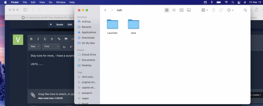 Screen Shot 2021-03-12 at 3.37.08 AM.png