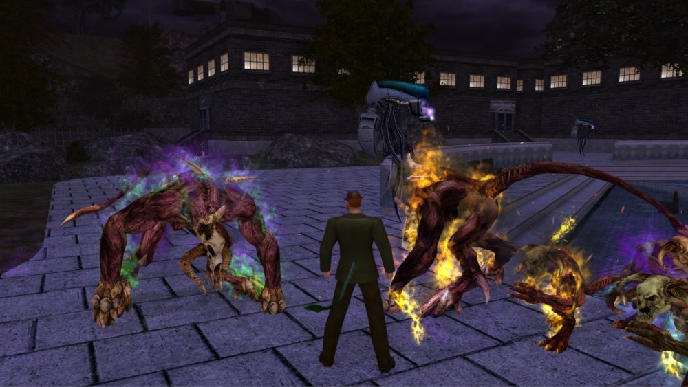 Midnight Visage tail.jpg