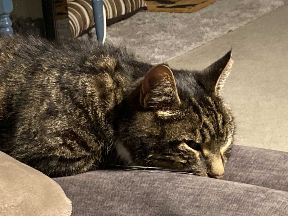 Image from iOS (1).jpg