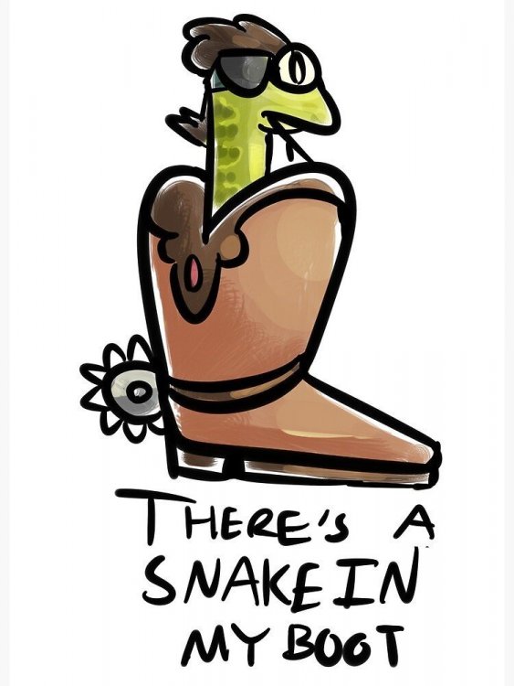 snakeboot.jpg
