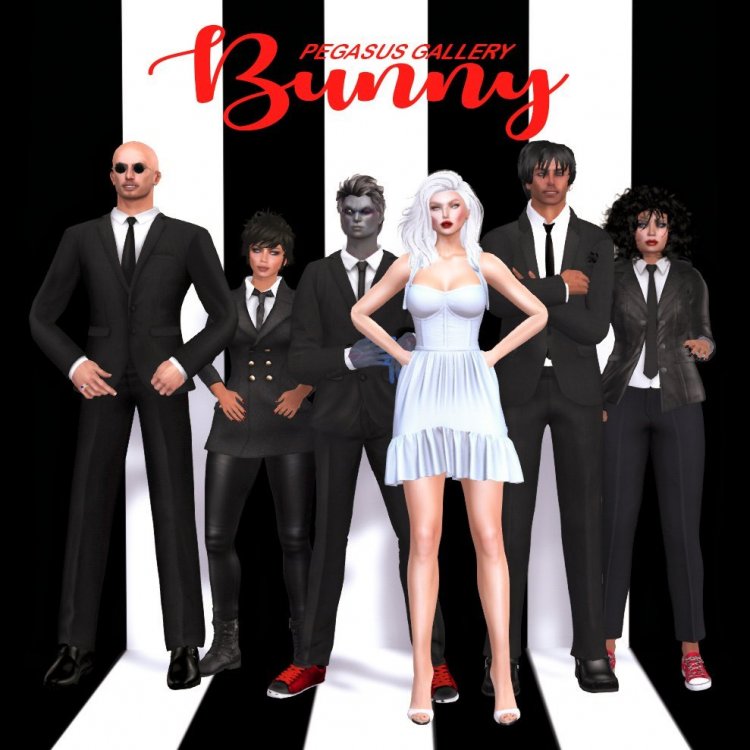 Blondie_Bunny_Cover.jpg