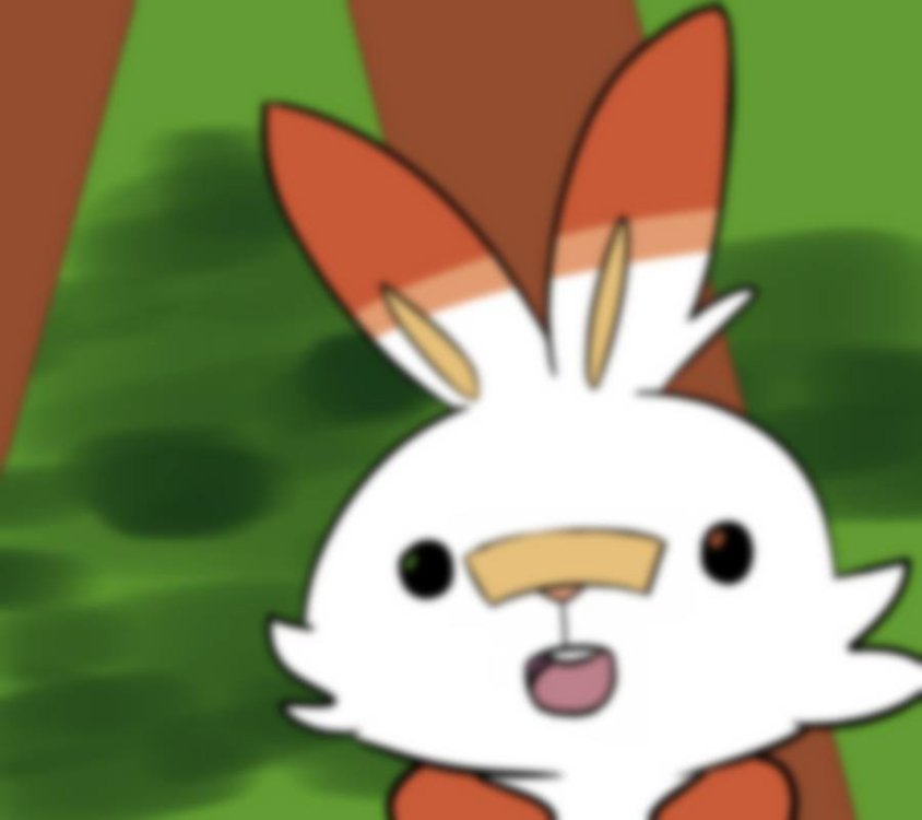 scorbunny wat face.jpg