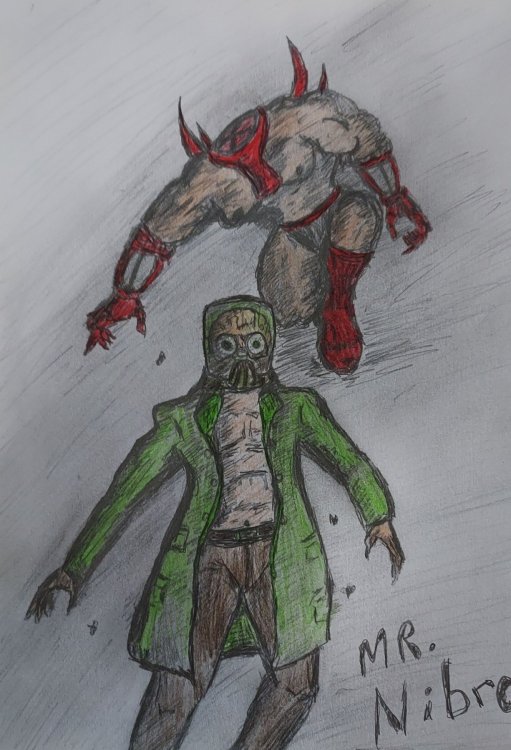 MrNibro.jpg