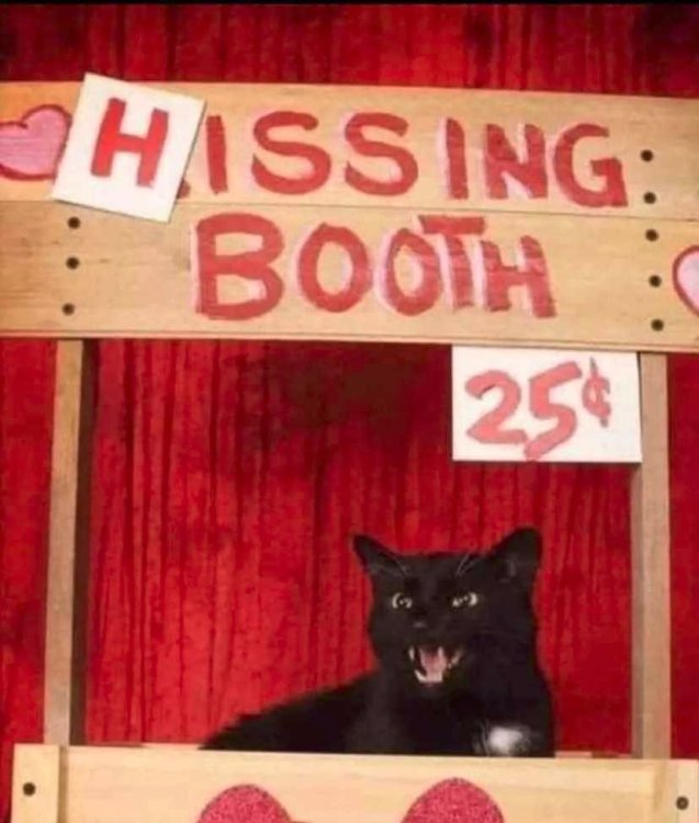 hissing_booth.jpg