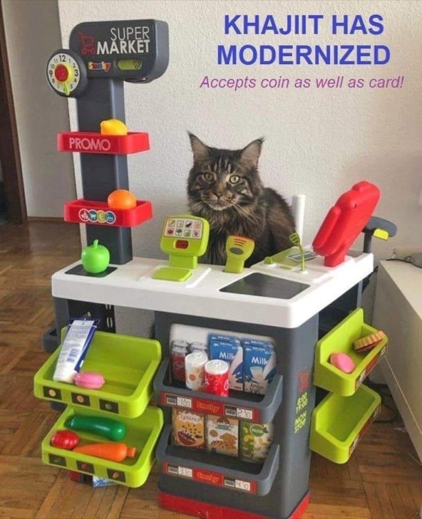 khajiit-has-modernized-accepts-coin-as-well-as-card-n-milk-100-nie-smoly-329-chmoty-1213-milk-pasta.jpeg