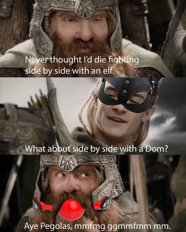 funniest-lord-of-the-rings-memes-31-1.jpg