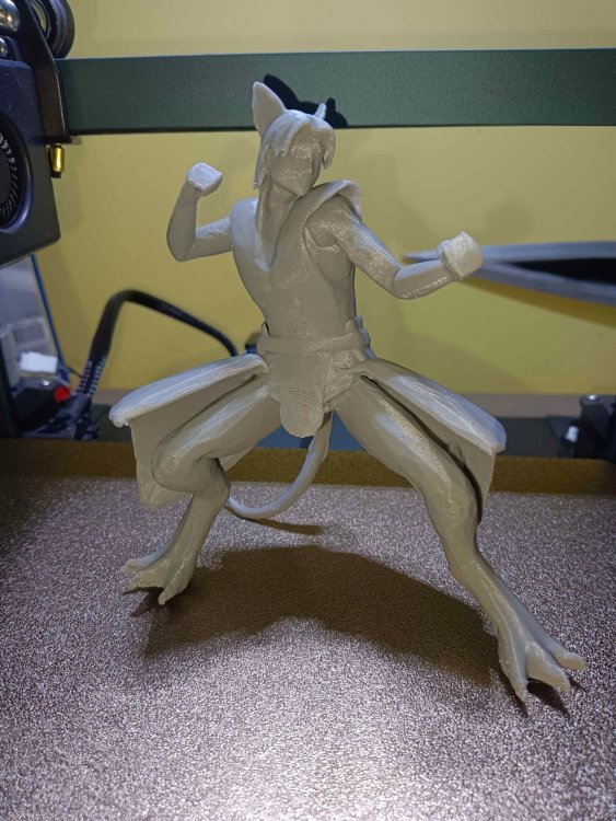 kung fu kangaroo.jpg